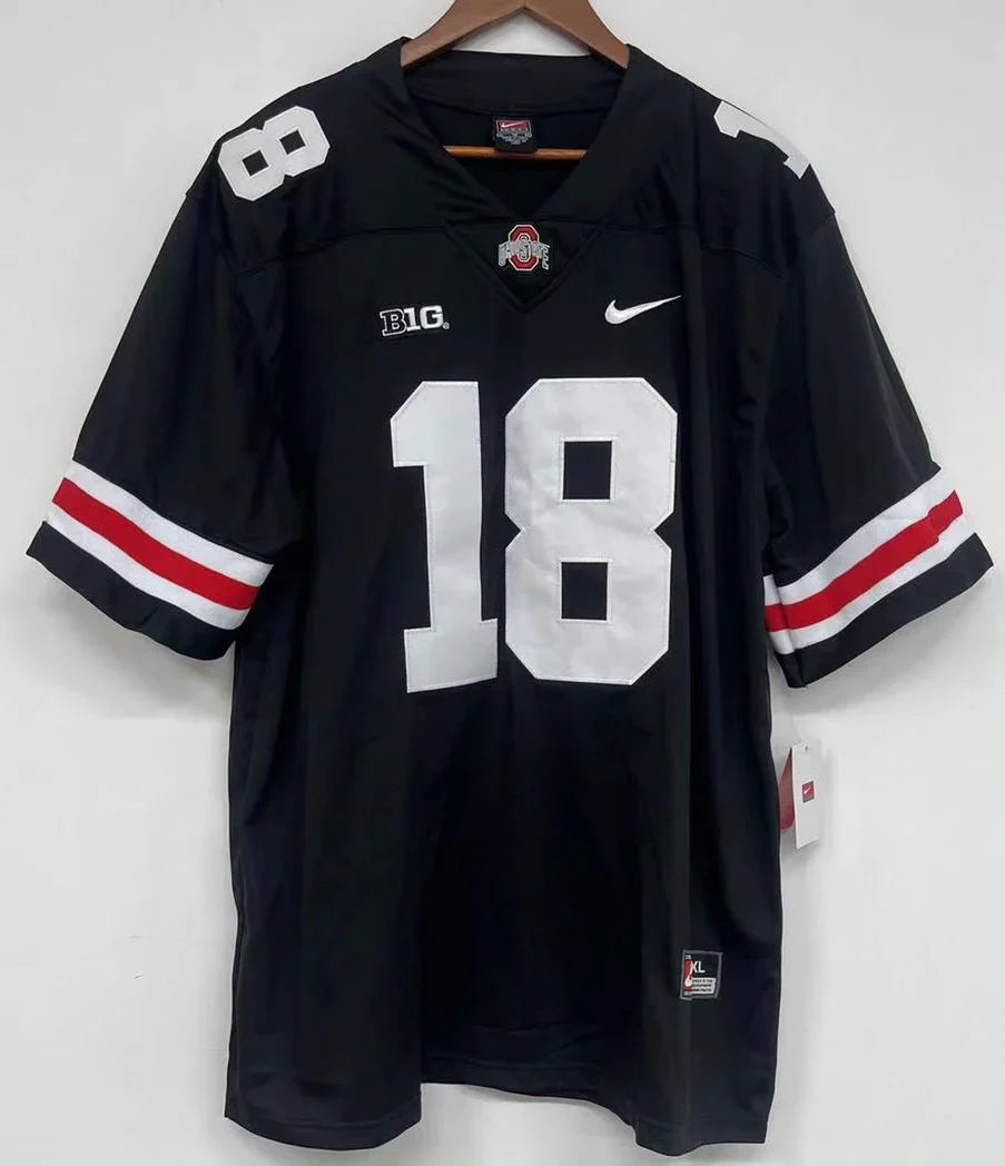 Any Name & Number Ohio State Buckeyes customized Nike Jersey product image 6