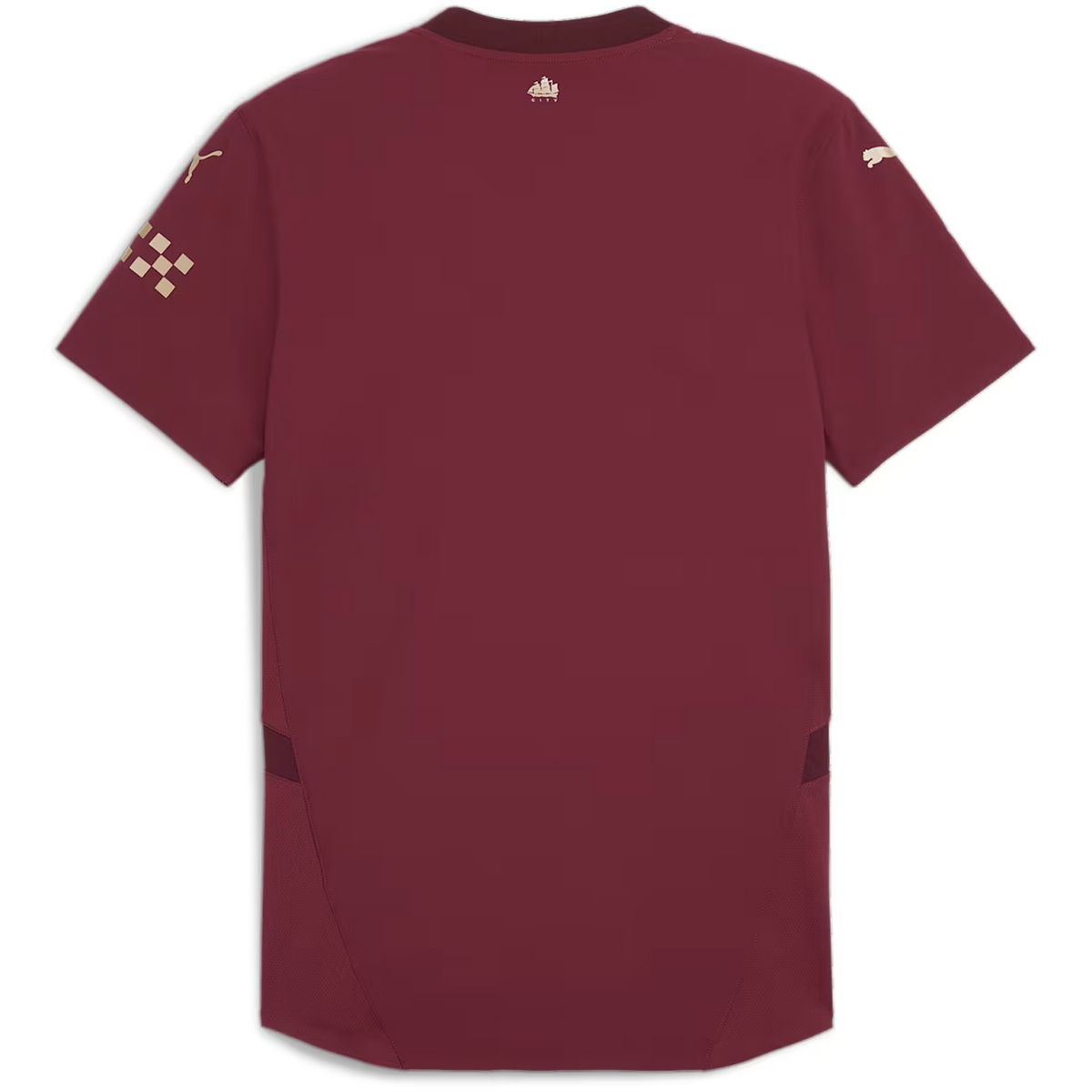 Puma Manchester City 2024-25 Men 3rd Authentic Match Jersey product image 2, provided for visual reference and product