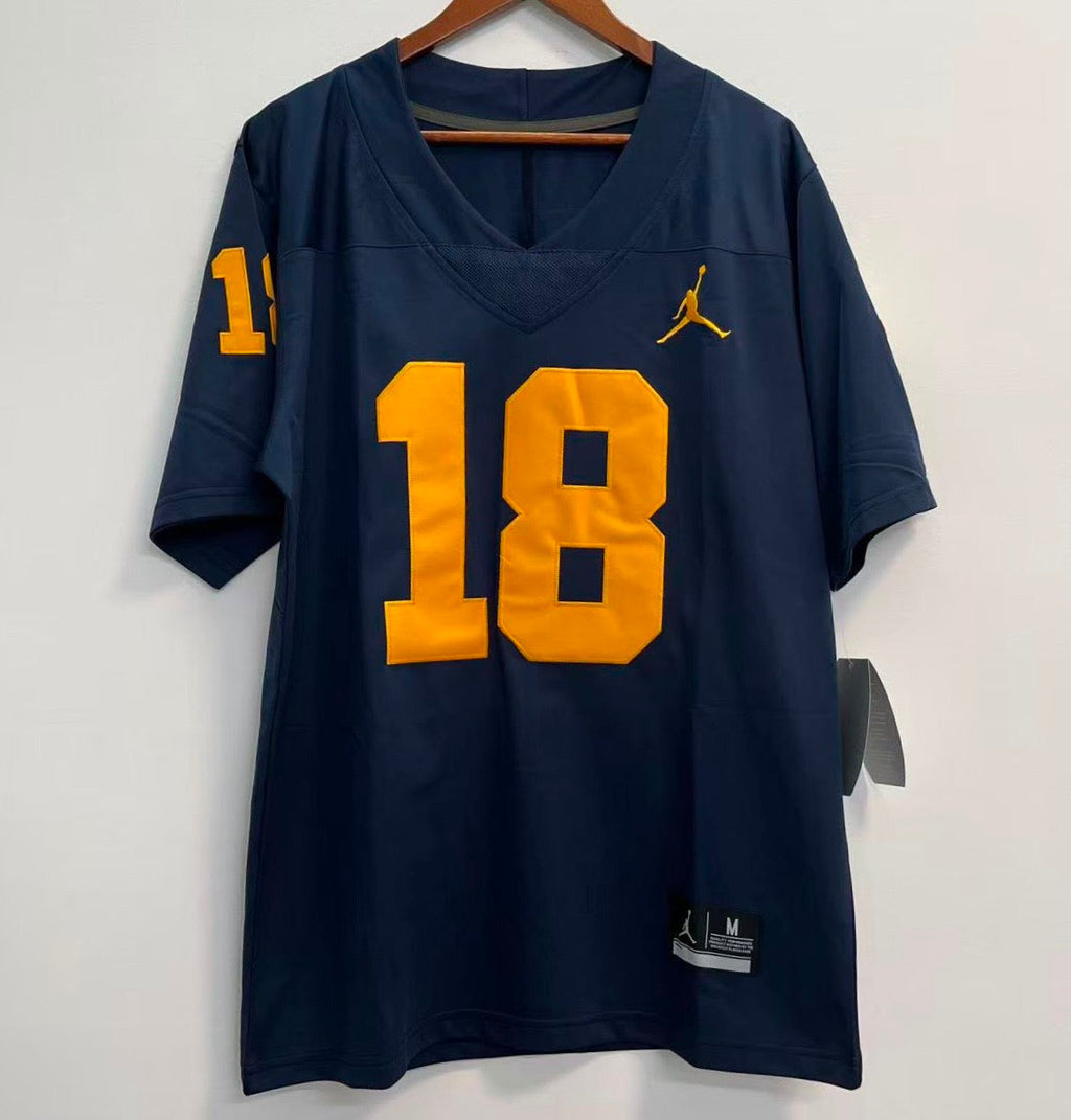 Any Name & Number Michigan Wolverines customized Jersey product image 3