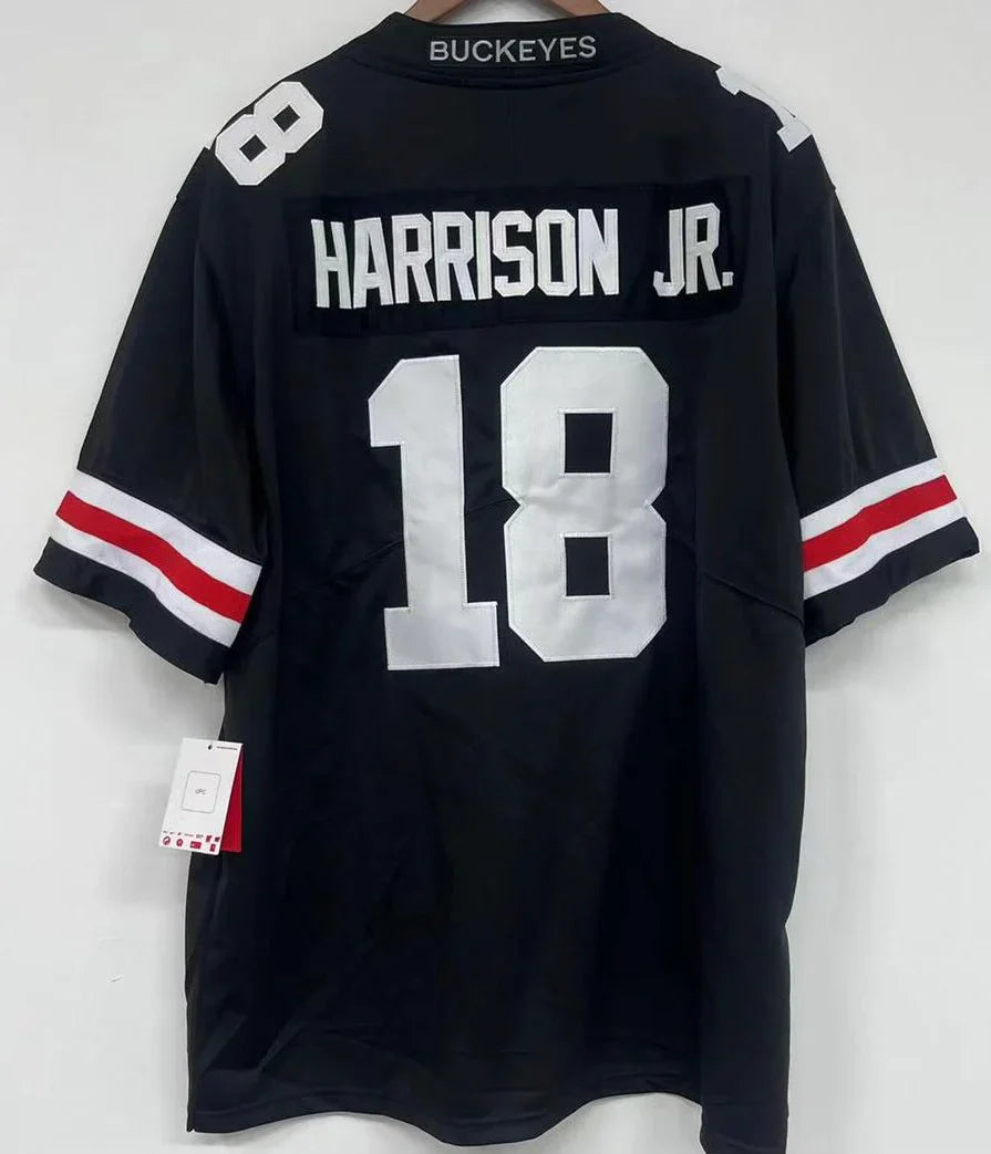 Any Name & Number Ohio State Buckeyes customized Nike Jersey product image 5