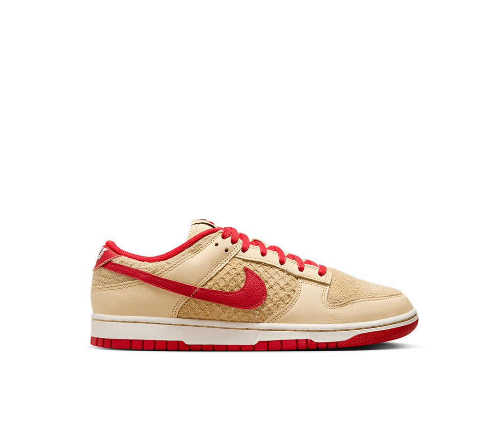 Nike Dunk Low Retro SE product image 1, provided for visual reference and product detail review